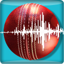 Snickometer : Cricket Prediction Tool Icon