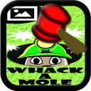 Whack a Mole Icon