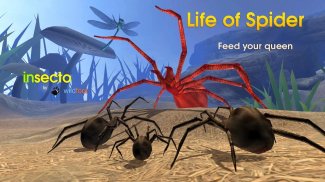 Life of Spider screenshot 8
