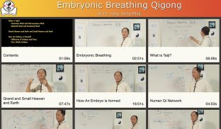 Embryonic Breathing Qigong screenshot 2