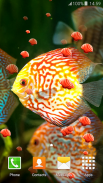 Neon Fish Live Wallpapers screenshot 5