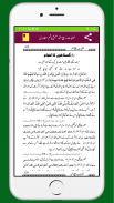 Khutbat Rabi un Noorربیع النور screenshot 6