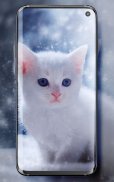 Cute Cats Live Wallpaper screenshot 8