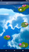 Water Lily Live Wallpaper screenshot 1