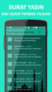 Surat Yasin Dan Ayat Kursi screenshot 4