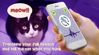 Cat Language Translator Simulator - Talk to Pet screenshot 1