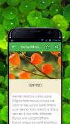 Herbal Medicine Bangla - ভেষজ screenshot 4