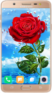 Red Rose Wallpaper 4K screenshot 5