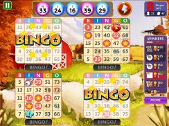 Bingo Star screenshot 0