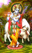 Lord Krishna Wallpapers screenshot 12