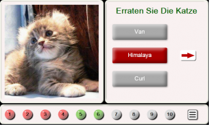 Erraten Sie die Katze: Tile puzzle screenshot 5