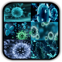 Virology - Principles & Applications of Virology