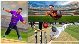 world cup 3d Cricket Bat Games screenshot 4