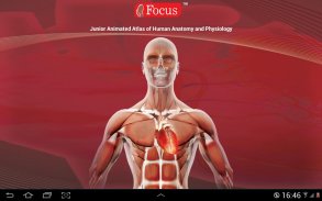 Anatomy Atlas screenshot 0