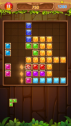 Block Puzzle : Master 2020 screenshot 1