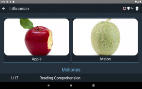 Lithuanian Language Tests screenshot 22