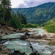 Hilly Forest River LWP screenshot 2