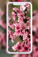 Hình nền mùa xuân screenshot 6