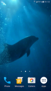 Dolphins 3D Video Wallpaper screenshot 3