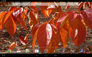 Осень Листья Живые Обои screenshot 2