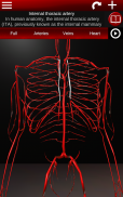 Circulatory System 3D Anatomy screenshot 8