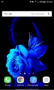 Lovely Blue Rose LWP screenshot 1