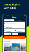 Liligo Flights, Trains & Buses screenshot 6