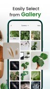 Florify: AI Plant Identifier screenshot 4