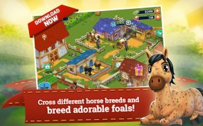 Horse Farm screenshot 9