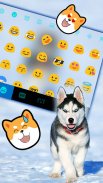 Ice Husky Keyboard Background screenshot 1