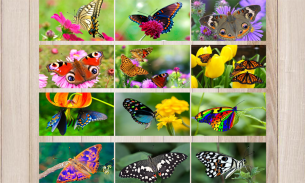 Butterfly Puzzle Jigsaw (Rompecabezas de mariposa) screenshot 0