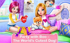 Boo: der süßeste Hund der Welt screenshot 4
