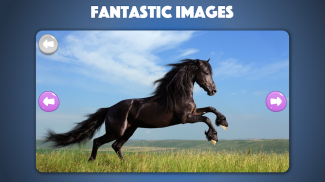 Horse and Pony jigsaw puzzles screenshot 4