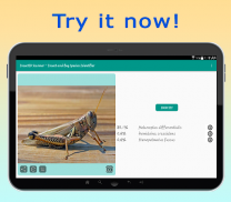 InsectID - Identify Insects screenshot 9