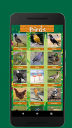 Birds & Animal Sounds screenshot 3