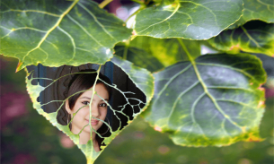 Leaf Photo Frames - leaf pic e screenshot 1