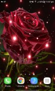 Magical Rose Live Wallpaper screenshot 1