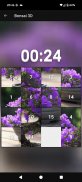 Bonsai 3D Live Wallpaper screenshot 6