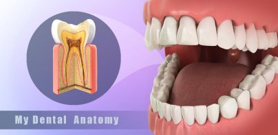 Dental Anatomy Pro.