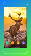 Deer Wallpapers screenshot 12