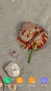 Shells Wallpaper screenshot 4