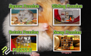 Free Hamster Puzzle Games screenshot 2