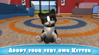 Daily Kitten : gato virtual screenshot 0