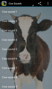 Cow Sounds screenshot 0