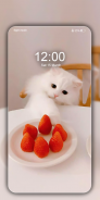 Cute Cat Wallpapers HD Kitten Background images 4K screenshot 5