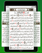 Koran Read 30 Juz Offline screenshot 8