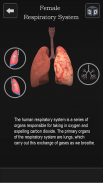 Female Anatomy 3D -Female Organs, Bones & Skeleton screenshot 3