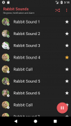 เสียงกระต่าย screenshot 1