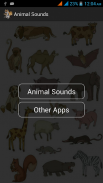 Animal Sounds screenshot 5