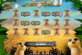 Flamingo Safari Slots FREE screenshot 4